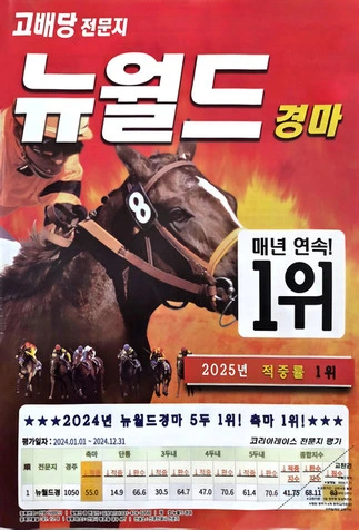 뉴월드 표지