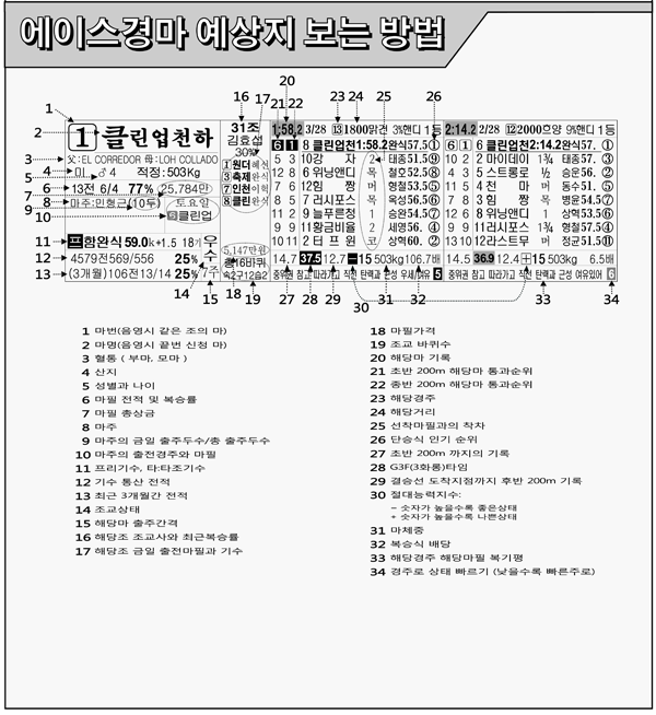 에이스 1일 예상지 예상지 보는법