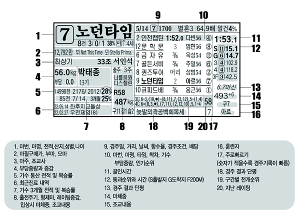 뉴월드 1일 예상지 예상지 보는법